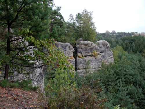 Borecké skály